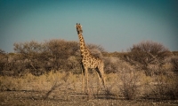 En pleine aventure au cœur du parc naturel de Bwabwata en Namibie